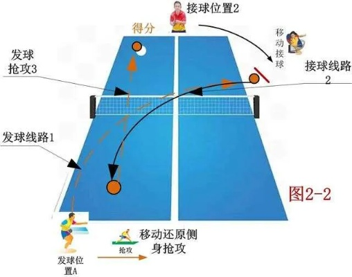 乒乓球方法大介绍从零基础到横扫全场的秘密方法-第2张图片-www.211178.com_果博福布斯