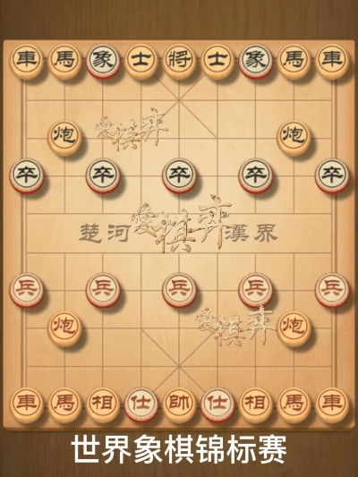 世界杯象棋比赛规则详解-第2张图片-www.211178.com_果博福布斯